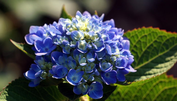 今天石板滩最新疫情：了解最新动态，保护健康，共筑安全社区