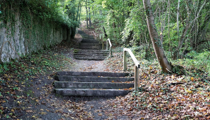 北京榆树疫情最新情况：你需要知道的全部信息