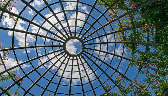 伦敦网上最新疫情:全面解析与未来展望