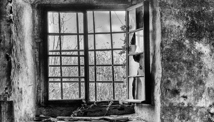 苏溪疫情最新报告数据：最新动态解读与未来展望