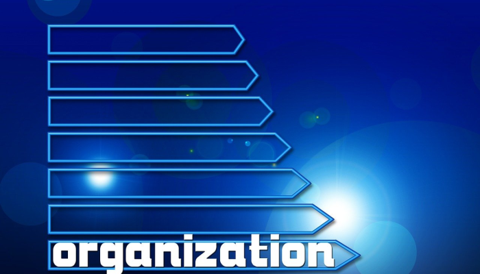 新冠疫情国内最新形式：当前趋势与未来展望