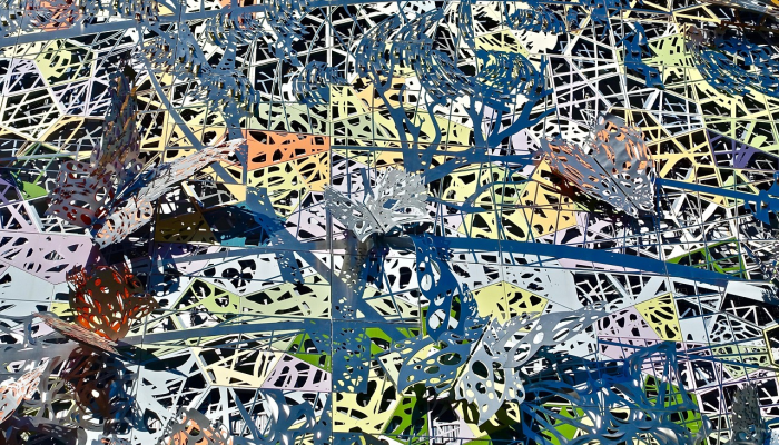 国家疫情防控局势最新:全面解读最新进展与前景展望