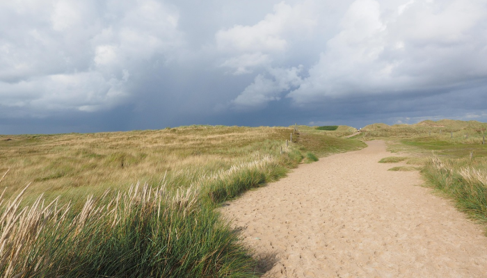 湘潭市疫情最新动态：保护健康，共同守护