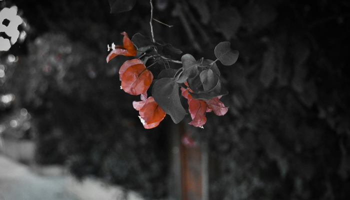 输入疫情最新通报：全球抗疫最新动态与前沿科技探索