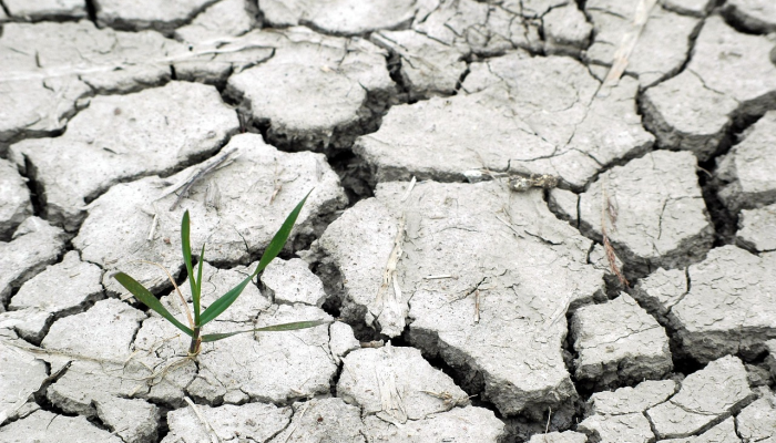 本土疫情分布表最新：全面了解您所在地区的疫情动态