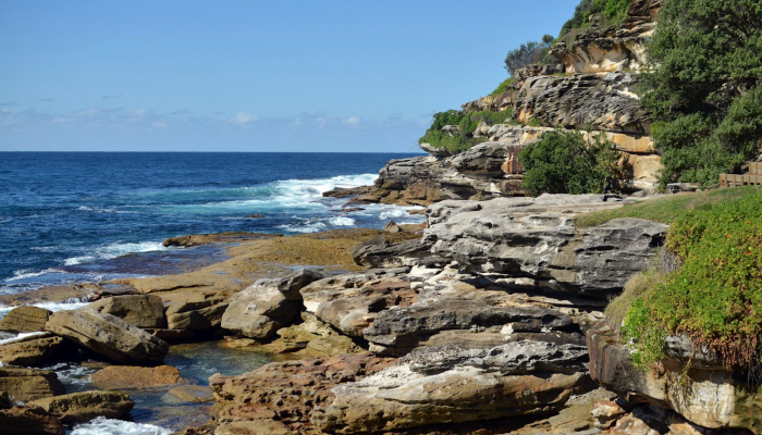 北海疫情最新消息女:你的健康守护者