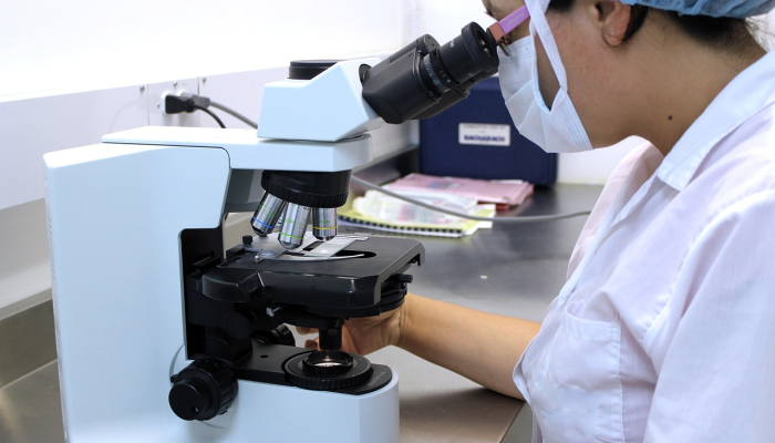 最新疫情发布:法国最新疫情动态与防护措施