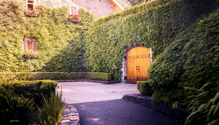 芜湖百蕊山庄疫情最新：安全与奢华并存的度假体验