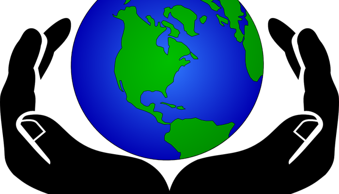 特斯拉疫情最新报告:全球科技与创新的守护者