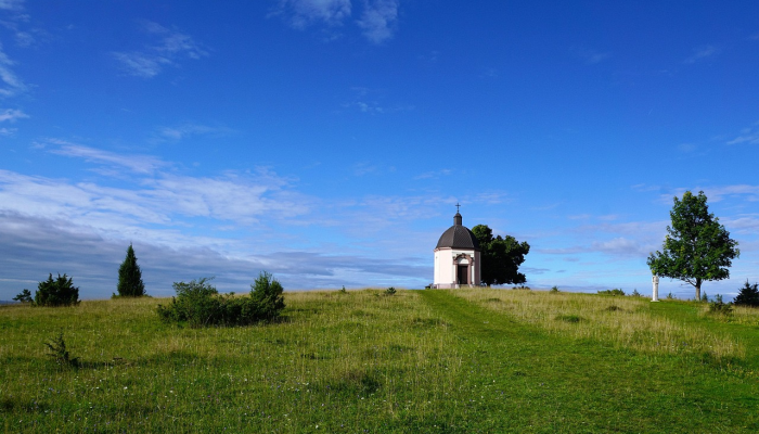 琶洲展馆最新疫情动态:安全与创新并行的未来展望