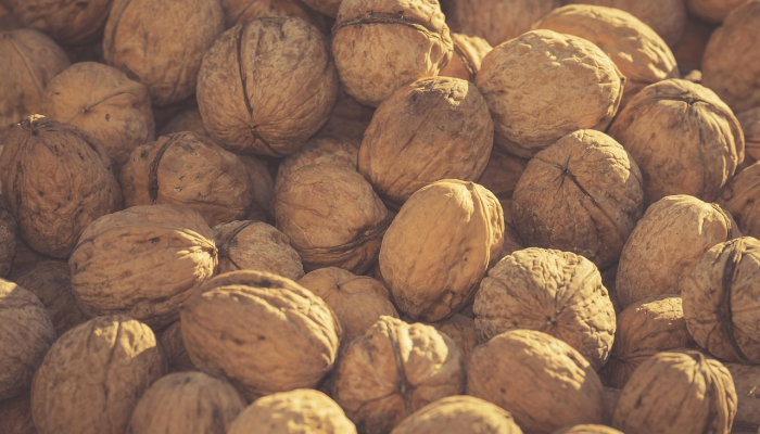 中远最新疫情消息：健康与安全的最新动态