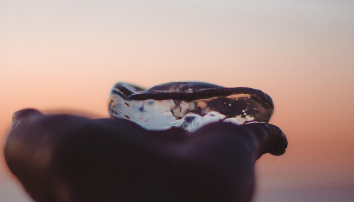 全球最新疫情哪去了：重拾平静的生活还是潜伏的阴影