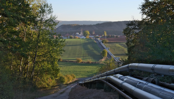 北桥疫情最新情况：重返正常生活的路途