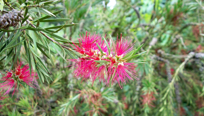 网络评论吉林疫情最新：全面解读疫情动态与防控措施