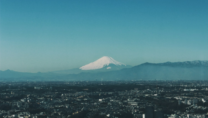 南非疫情最新播报：跨越时空的健康挑战与应对策略