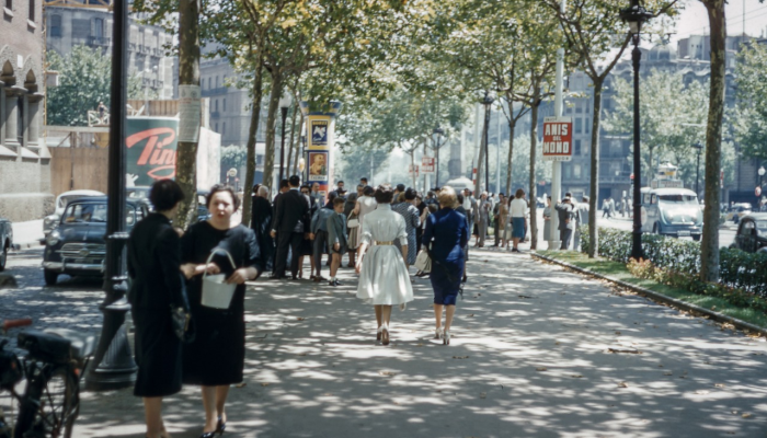 西安魏寨疫情最新消息：你所需要了解的全面信息