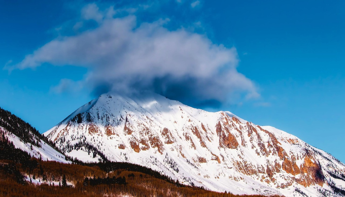 祁家桥最新疫情报道：了解最新动态，保障健康安全