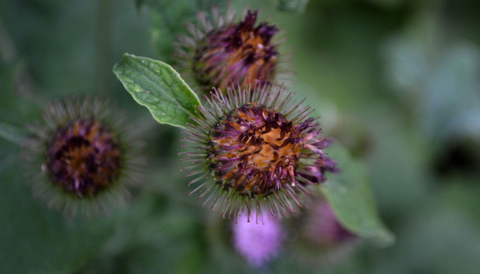 南海区南庄最新疫情：最新动态与防护指南