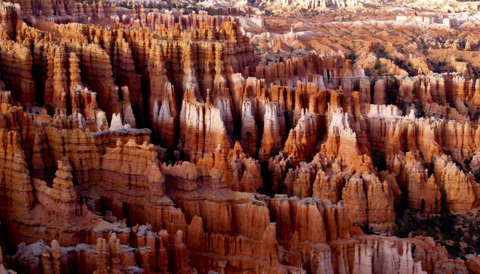 探寻东四环奥莱的最新疫情动态