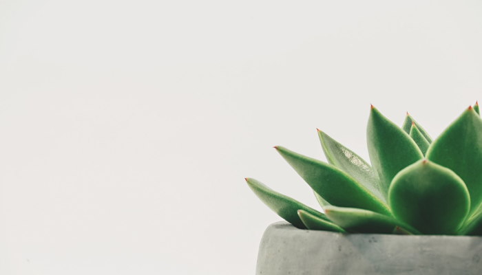 寿光疫情防控等级最新：全面了解最新动态，让你的生活更安心