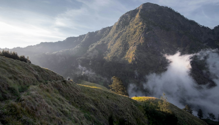 杭州疫情返校要求最新：家长与学生必读指南
