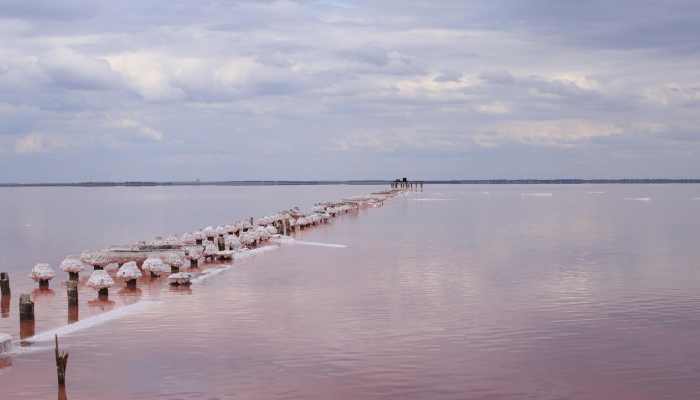三坝有疫情吗最新消息：你关心的真实信息