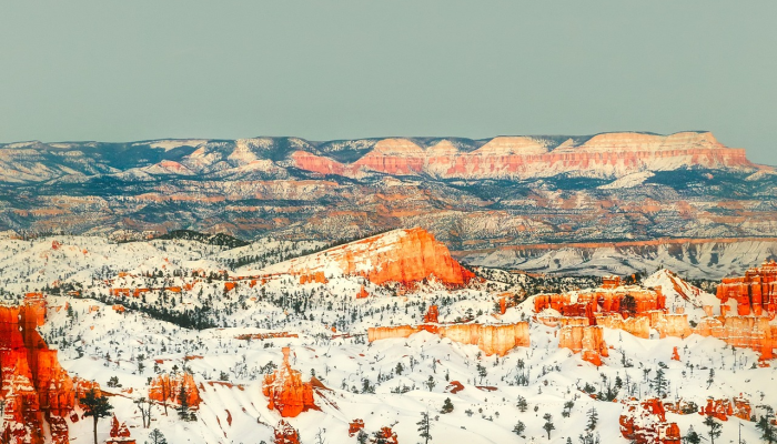 南昌疫情最新疫情通报:全面了解当前防疫形势