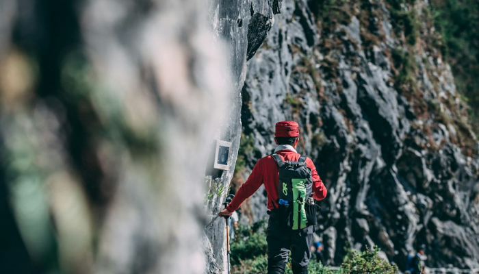 棉花疫情最新动态：全球农业健康的关键