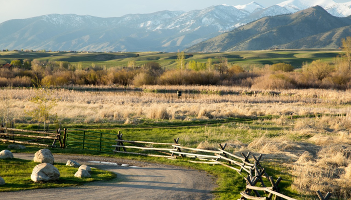 最新超市疫情：保护健康的前沿战线
