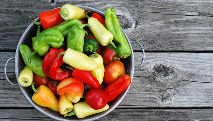 舟桥疫情最新通告消息:全面了解最新动态,保护您的健康