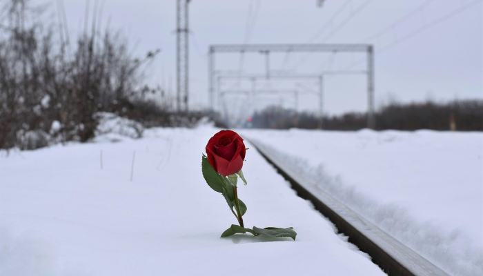 常德爆发最新疫情：你需要知道的一切