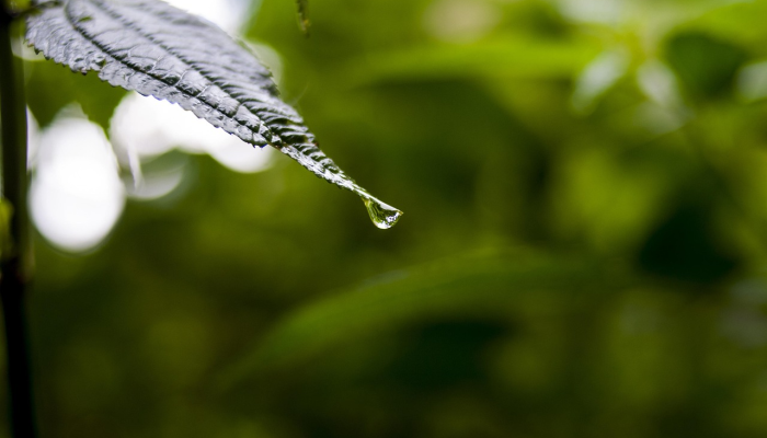 芜湖疫情最新公布：最新动态与防疫措施