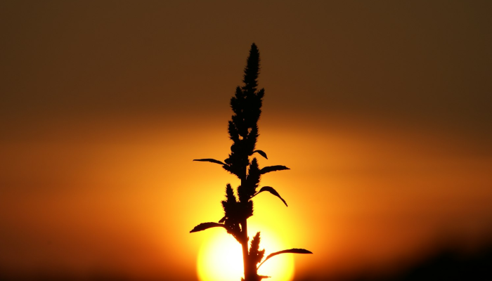 西安最新疫情情侣轨迹：爱在隔离中的温暖与坚持