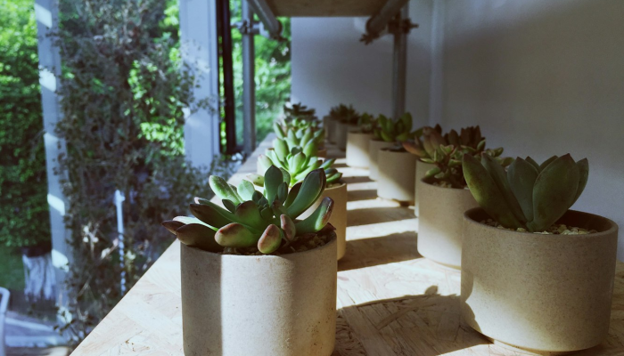 龙蟠花园疫情最新消息：让你安心生活的守护