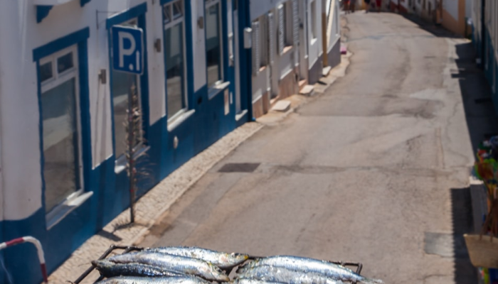 最新疫情安徽屯溪：如何在防疫中保障健康与生活安宁