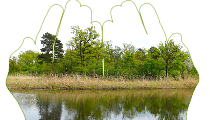 灵丘疫情最新公布：保护您的健康，关注最新动态