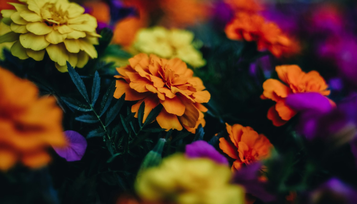 昆州疫情最新动态：您需要知道的每一个细节