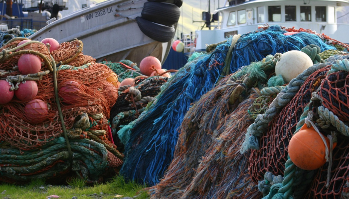 长乐区青口最新疫情：保护健康，共同努力