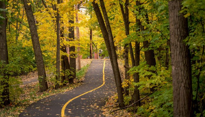 昆明丹槿园最新疫情:你需要知道的一切