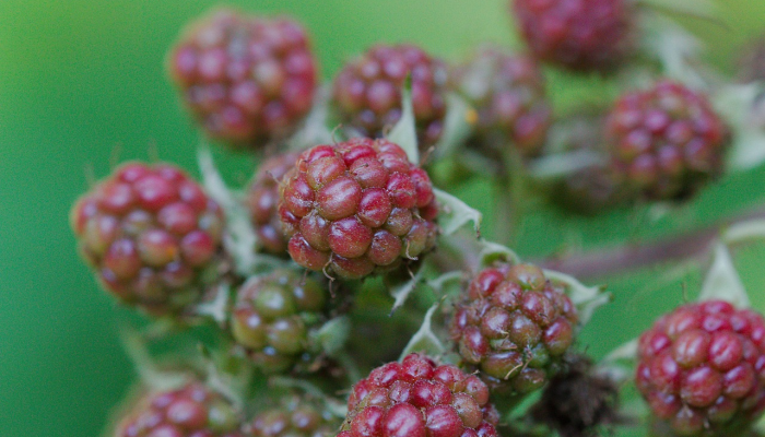 最新无锡疫情数据：实时掌握疫情动态，为您的健康保驾护航