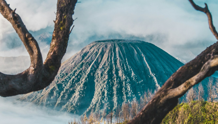 宝坻最新疫情病例：最新动态与防护指南