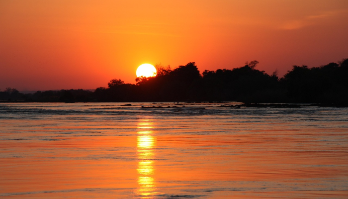 美国印度最新疫情数据：全球公共卫生的最新动态