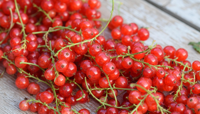 秦皇岛最新疫情表格：了解你身边的健康动态