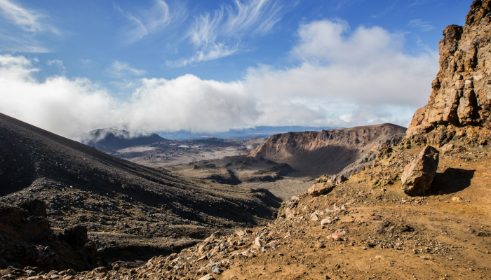 唐古拉山疫情最新：跨越高原的健康防护战线