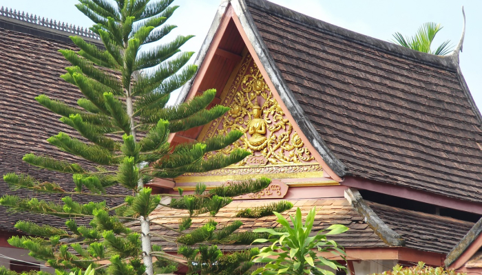 老挝万象疫情最新消：最新动态与防疫措施分析