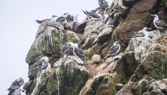 林芝出现最新疫情：保护健康，从你我做起