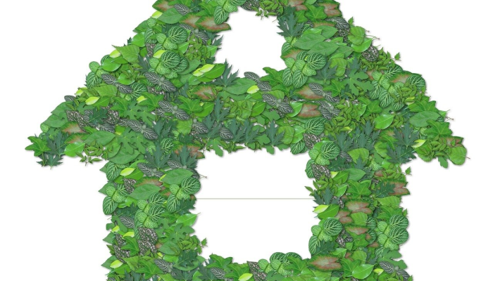 兰州疫情状况视频最新：了解最新动态，保护健康，从这里开始！