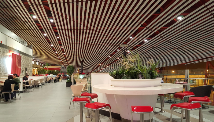 北京最新疫情的视频：深入了解最新防疫动态与健康建议