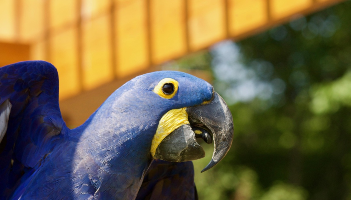 咸阳最新通知疫情：您需要知晓的最新动态和防疫指南