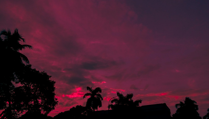 怀德市最新疫情：我们一起了解最新动态